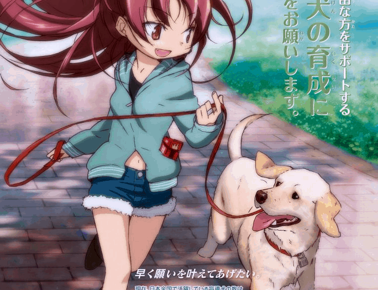 Madoka støtter hvalpe til blinde
