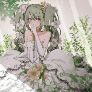 Opdateringer af siden