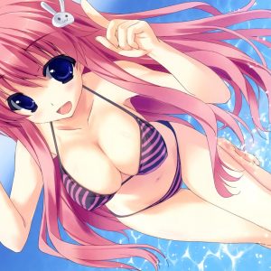 2000 indlæg på siden