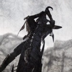 Trailer for Soul Sacrifice