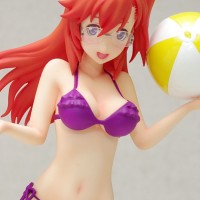 Ichika Takatsuki beach queen
