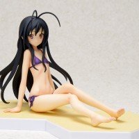 Kuroyukihime fra Accell World Beach Queen