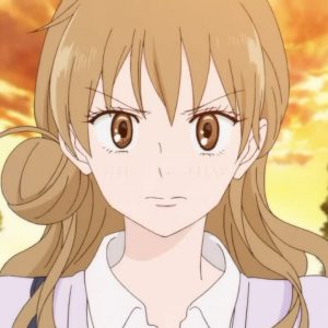 Top 20 shoujo anime heltinder