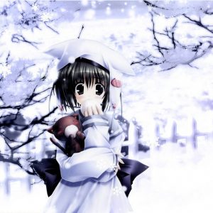 Liste over vinterens anime 2012-2013