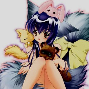 Liste over kommende anime uden dato