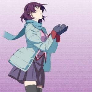 2013 er Monogatari år