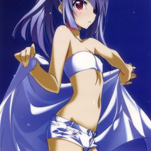 Første trailer for ny "Inifinite Stratos" anime