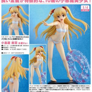 Miu Takanashi i bikini [Papa no Iu Koto o Kikinasai!]