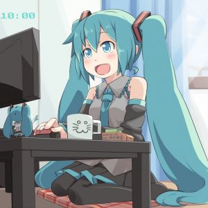 “.moe” domæner på vej