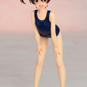 Akane Isshiki i skolebadedragt [Vividred Operation]