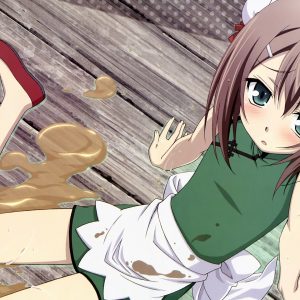 Hideyoshi - Baka to Test no Shoukanjo