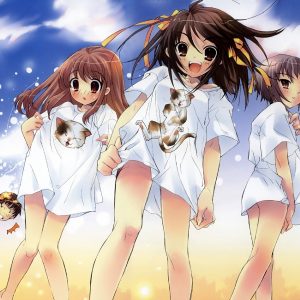 AIOdense – Fredag 12 juli 2013 – Sommerfest