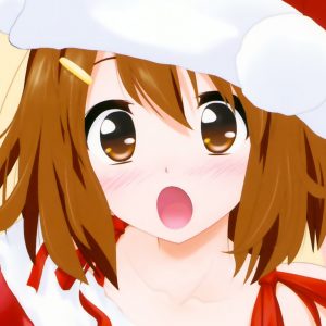 AIOdense – Fredag 6 december 2013 – Juleklippe-kliste