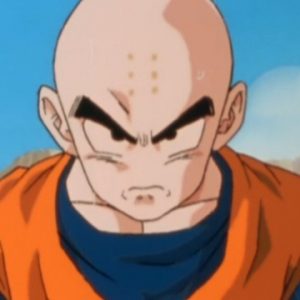 Ugens afstemning: Bedste skaldepande