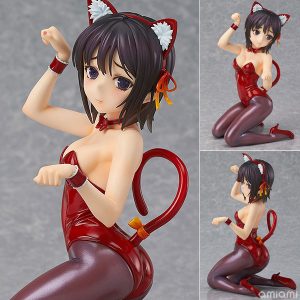 Yozora Mikazuki Cat Costume [Haganai NEXT]