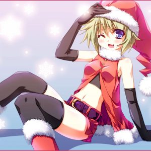 Julen 2013 – God 10 december!