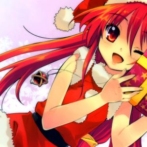 Julen 2013 – God 12 december!