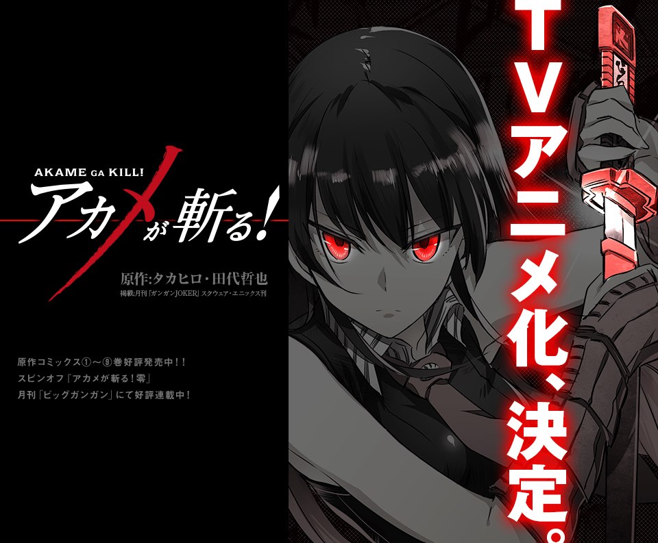 “Akame ga Kill!” mangaen laves til en TV anime