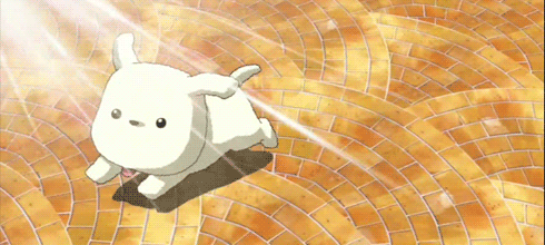 Ugens afstemning: Hvilket kæledyr ville du gerne have? (finalen)