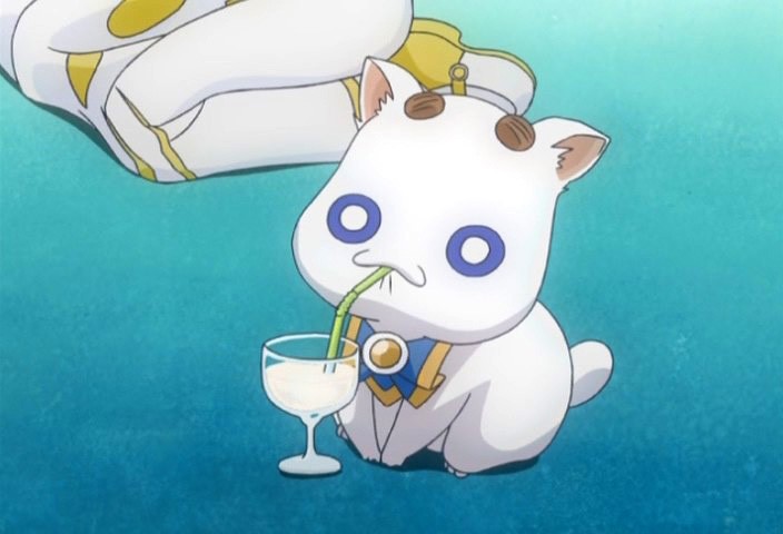 Ugens afstemning: Hvilket kæledyr ville du gerne have? (del 1)