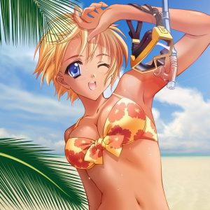 Liste over sommerens anime 2014