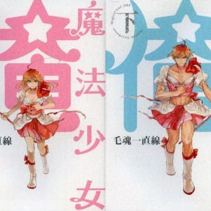 Mahou Shoujo Ore bliver måske en anime
