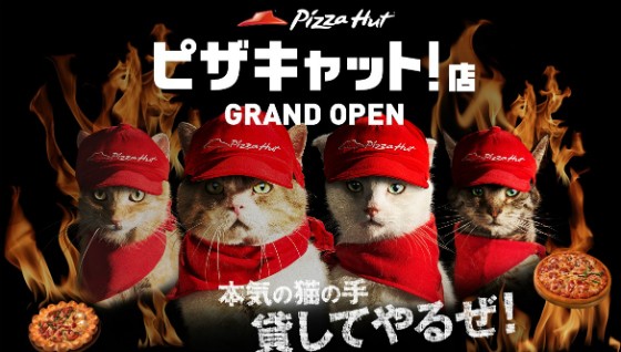 Pizza Hut drevet af katte