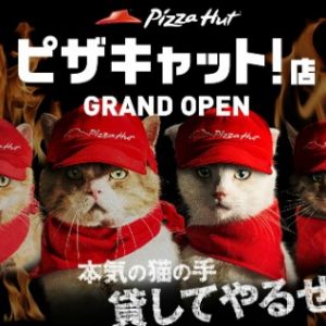 Pizza Hut drevet af katte