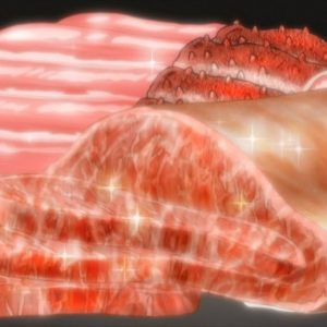 Ugens afstemning: Bedste mad i anime finalen