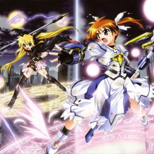 10/11. Magical Girl Lyrical Nanoha (1.1%)