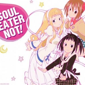 Soul Eater Not! mangaen slutter