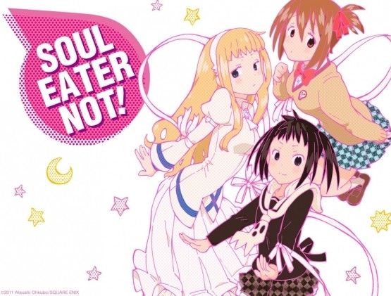 Soul Eater Not! mangaen slutter