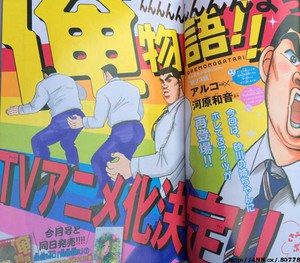 Ore Monogatari!! laves til TV anime