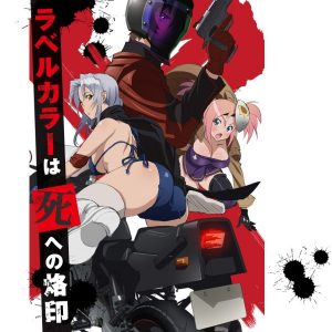 Triage X animeen kommer til foråret 2015