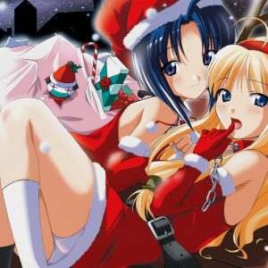 Hvilken anime pige ville du gerne på jule-date med?