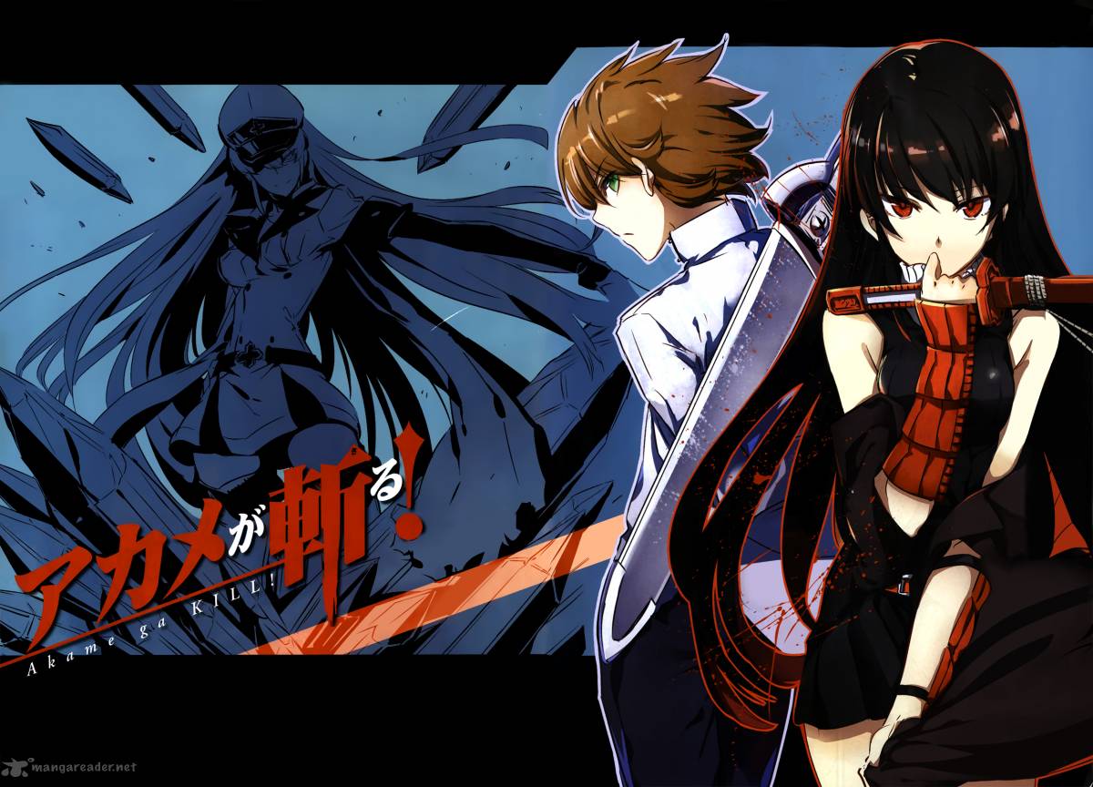 Akame ga Kill! mangaen nået til afsluttende historie