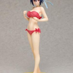 Seishiro Tsugumi Beach Queen [Nisekoi]