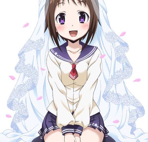 Okusama ga Seito Kaichou TV anime info