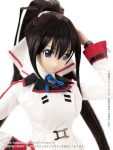 Hybrid Active Figure - Houki Shinonono complete doll [Infinite Stratos]