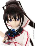 Hybrid Active Figure - Houki Shinonono complete doll [Infinite Stratos]