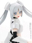 Picco Neemo Character Series AK No.002 "Miss Monochrome -The Animation-" Miss Monochrome Complete Doll