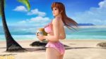 Dead or Alive Xtreme 3 kommer til PS4 og PS Vita