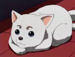 2. Sadaharu (Gintama) 343 stemmer