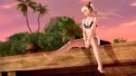 Nye Dead or Alive Xtreme 3 screen shots og trailer