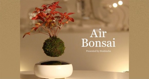 Flyvende bonsai