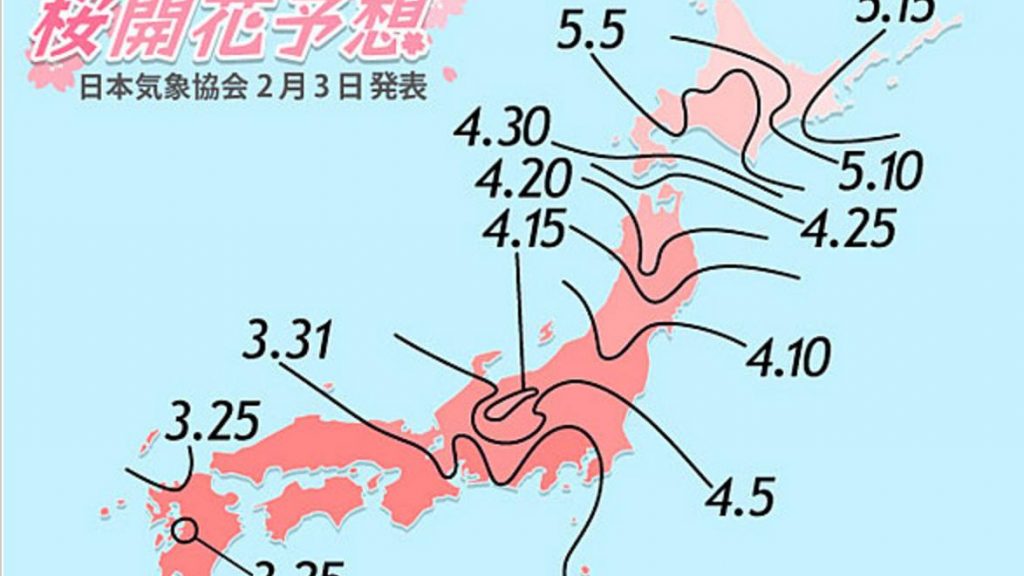 Kirsebærblomst “vejr”udsigten 2016