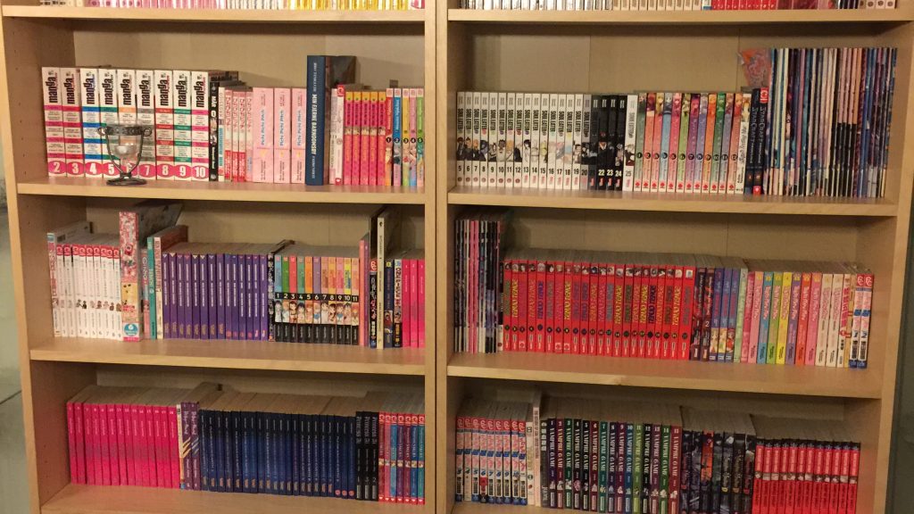 Eriks blog: Vores mangaer 2016