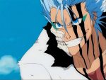 8. Grimmjow Jaegerjaquez - Bleach