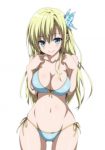 Sena Kashiwazaki - Haganai