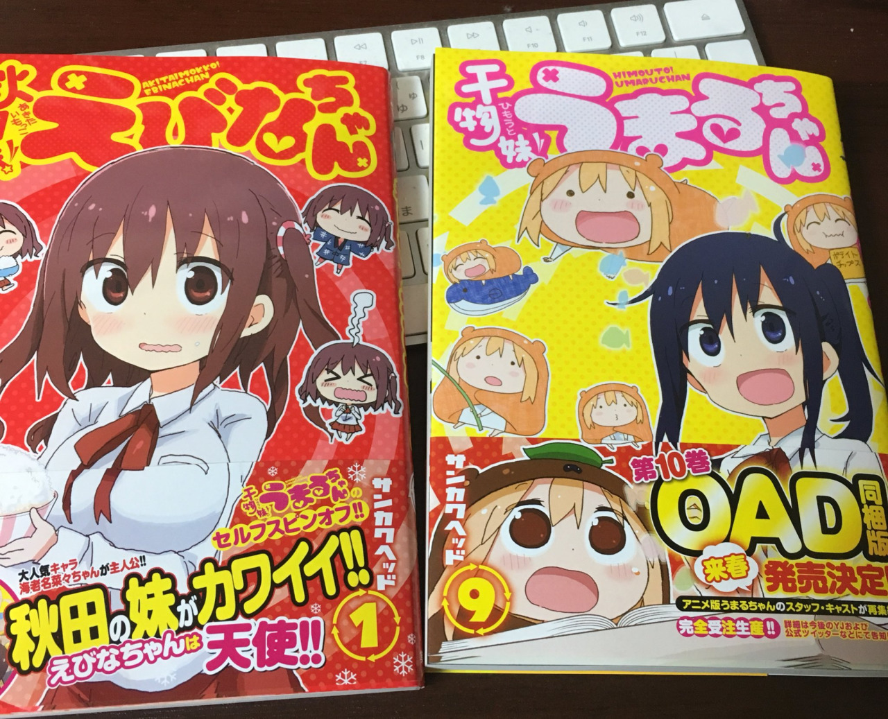 Himouto! Umaru-chan OAD med manga #10